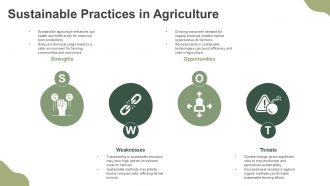 Understanding Plant Growth Cell Division And Elongation PPT Information AT Informative Professional