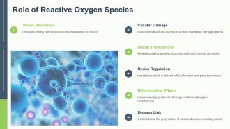 Understanding Protein Oxidation Causes And Effects PPT PowerPoint ST AI Editable Idea