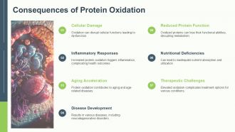 Understanding Protein Oxidation Causes And Effects PPT PowerPoint ST AI Downloadable Idea