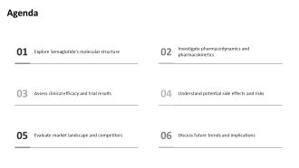 Understanding Semaglutide Chemical Composition PPT Structure AT Analytical Engaging