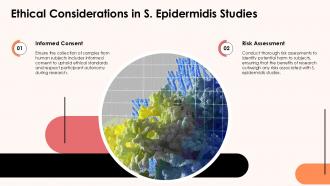 Understanding Staphylococcus Epidermidis PPT Example ST AI