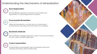 Understanding The Biomineralization Process PPT Designs AT Analytical Multipurpose