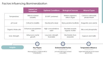 Understanding The Biomineralization Process PPT Designs AT Professionally Multipurpose