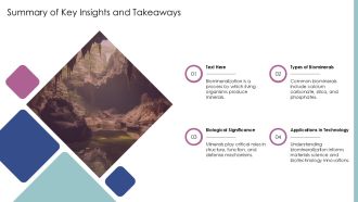 Understanding The Biomineralization Process PPT Designs AT Best Attractive
