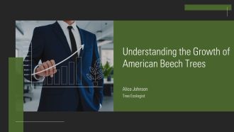 Understanding The Growth Of American Beech Trees PPT Example AT