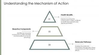 Understanding The Mechanism Of Action Bioactive PPT Template ACP