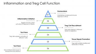 Understanding Treg Cells Key Players In Immune Regulation PPT Example ST AI Good Colorful
