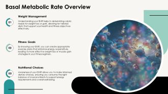 Understanding Your Metabolic Rate PPT PowerPoint AT Researched Appealing