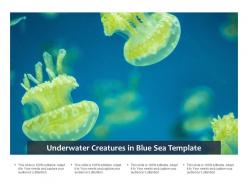 Underwater Creatures In Blue Sea Template