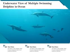 Underwater view of multiple swimming dolphins in ocean