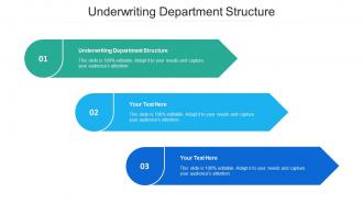 Underwriting Department Structure Ppt Powerpoint Presentation Infographic Template Cpb