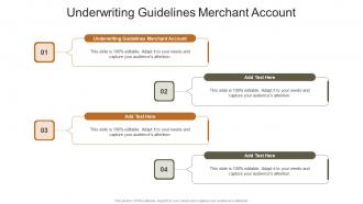 Underwriting Guidelines Merchant Account In Powerpoint And Google Slides Cpb
