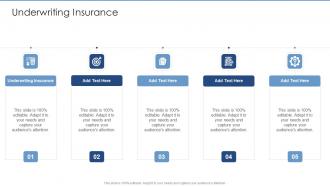 Underwriting Insurance In Powerpoint And Google Slides Cpb