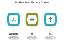 Undifferentiated marketing strategy ppt powerpoint presentation ideas brochure cpb