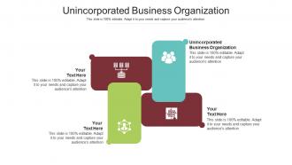 Unincorporated business organization ppt powerpoint presentation cpb