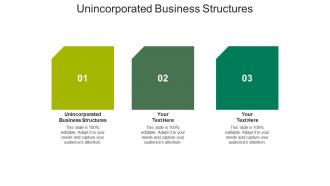 Unincorporated business structures ppt powerpoint presentation gallery slide download cpb