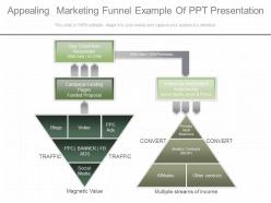 Unique Appealing Marketing Funnel Example Of Ppt Presentation