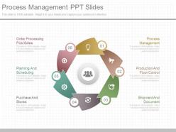 Unique process management ppt slides