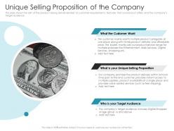 Unique Selling Proposition Of The Company Pitch Deck Raise Debt IPO Banking Institutions Ppt Themes
