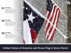 United states of america and texas flag in snow storm