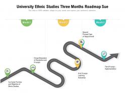 University ethnic studies three months roadmap sue