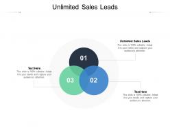 Unlimited sales leads ppt powerpoint presentation summary images cpb