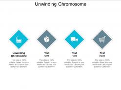 Unwinding chromosome ppt powerpoint presentation ideas templates cpb