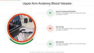 Upper Arm Anatomy Blood Vessels In Powerpoint And Google Slides Cpb