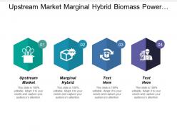 Upstream market marginal hybrid biomass power generation plant
