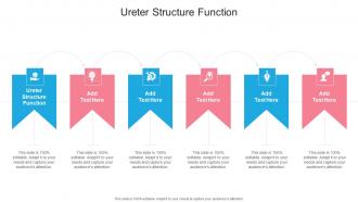 Ureter Structure Function In Powerpoint And Google Slides Cpb