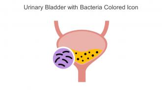 Urinary Bladder With Bacteria Colored Icon In Powerpoint Pptx Png And Editable Eps Format