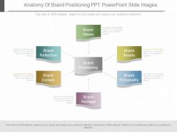 Use anatomy of brand positioning ppt powerpoint slide images