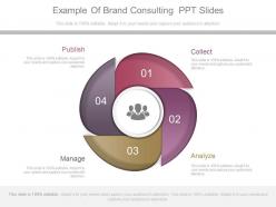Use example of brand consulting ppt slides