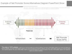 Use example of net promoter score alternatives diagram powerpoint show