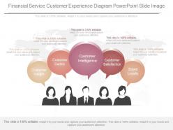Use Financial Service Customer Experience Diagram Powerpoint Slide Image