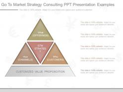 Use go to market strategy consulting ppt presentation examples