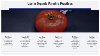 Use In Organic Farming Practices Rhizobium Rhizogenes PPT Template ST AI SS Use In Organic Farming Practices Rhizobium Rhizogenes PPT Template ST AI SS