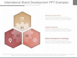 Use international brand development ppt examples