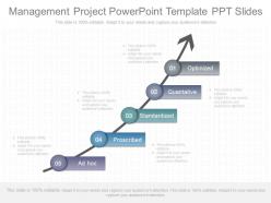 Use management project powerpoint template ppt slides