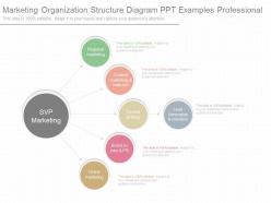 Use marketing organization structure diagram ppt examples professional
