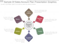 Use sample of sales account plan presentation graphics
