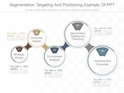 Use Segmentation Targeting And Positioning Example Of Ppt
