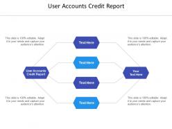 User accounts credit report ppt powerpoint presentation file graphics tutorials cpb