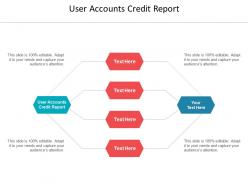 User accounts credit report ppt powerpoint presentation inspiration deck cpb