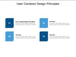 User centered design principles ppt powerpoint presentation ideas brochure cpb