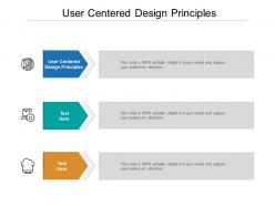 User centered design principles ppt powerpoint presentation professional elements cpb