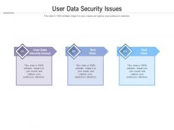 User data security issues ppt powerpoint presentation file files cpb