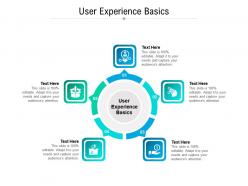User experience basics ppt powerpoint presentation infographics file formats cpb