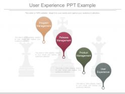 User Experience Ppt Example
