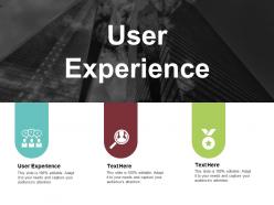 User experience ppt powerpoint presentation infographic template example introduction cpb